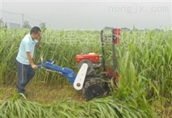 养殖用小型牧草收割机 高效率拖拉机前置割台